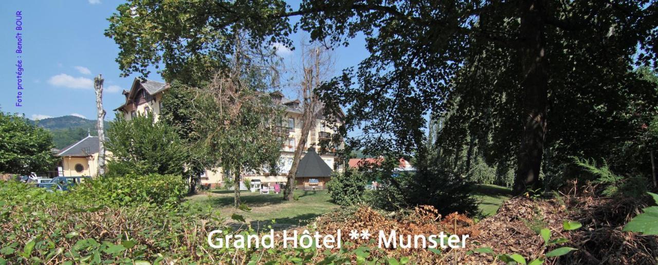 مونستر Brit Hotel Grand Hotel Munster المظهر الخارجي الصورة